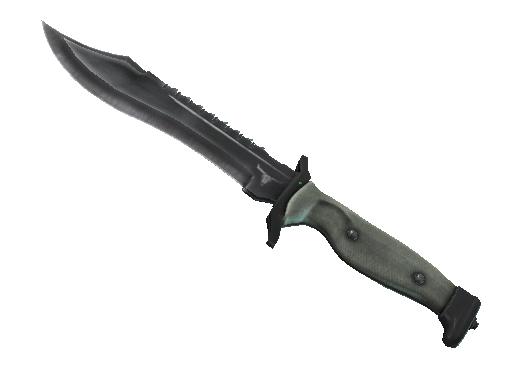 Bowie Knife